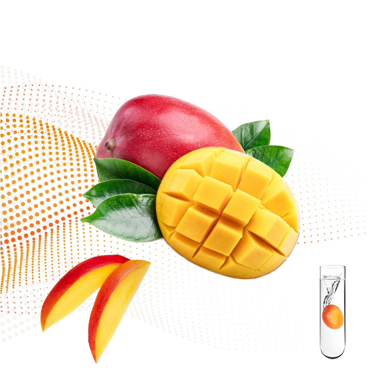 Mango Intensive Essence Mask