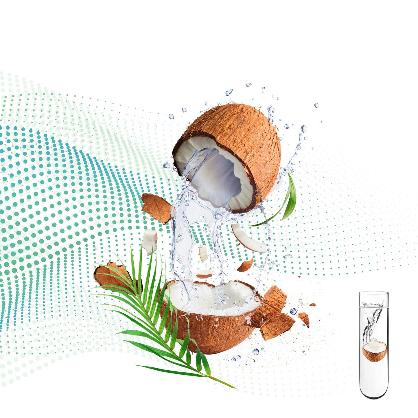 Coconut Intensive Essence Mask