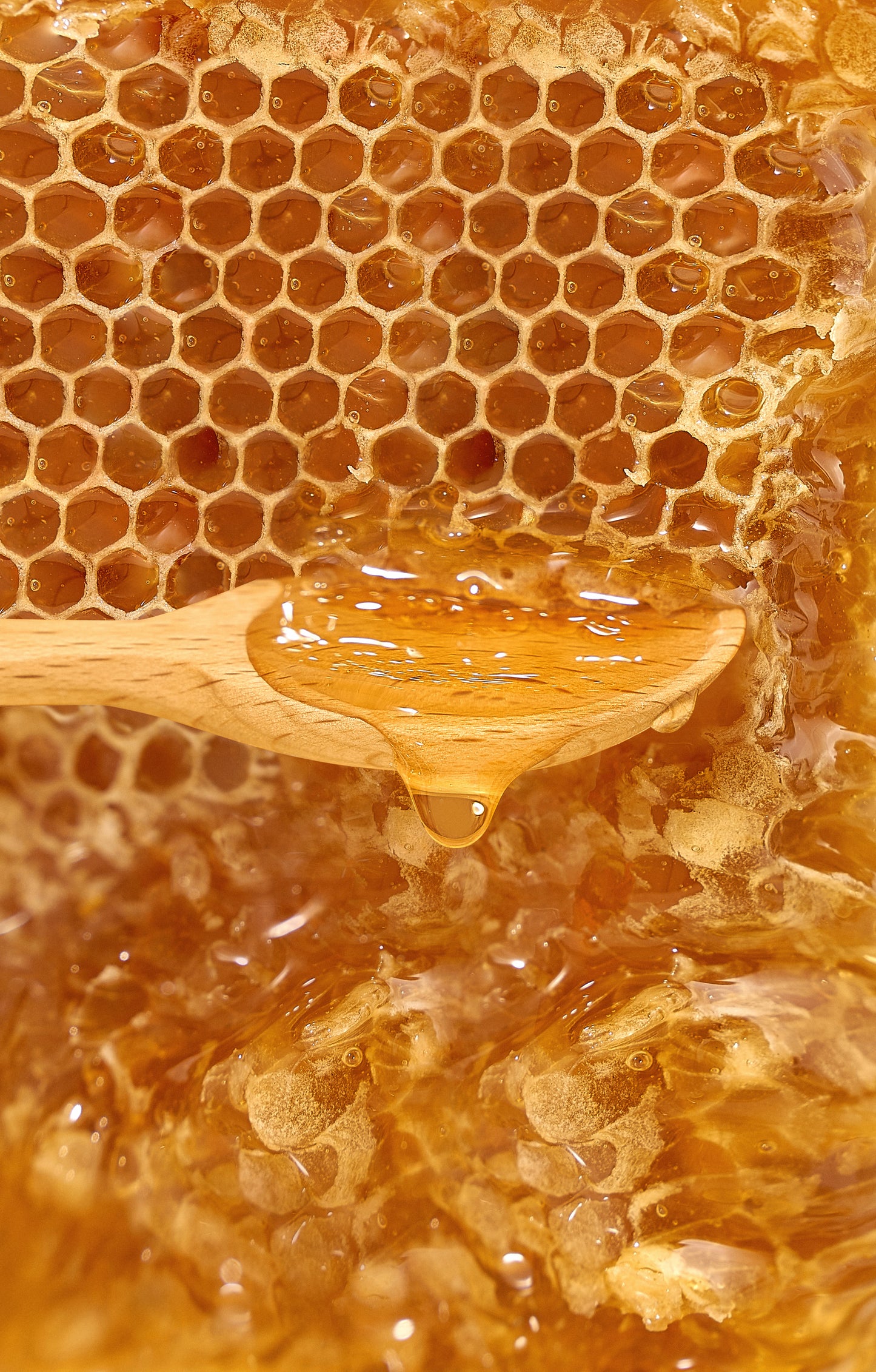 HONEY MASK